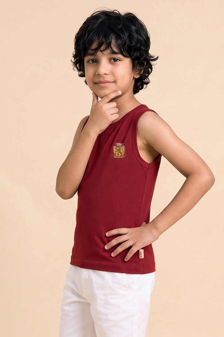 Lee Cooper Boys Harry Potter Vest (Pack of 2) - Multicolor — image 9